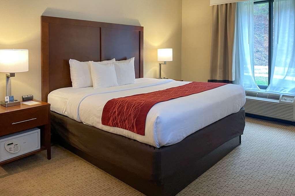 Comfort Inn & Suites Rogersville Bilik gambar